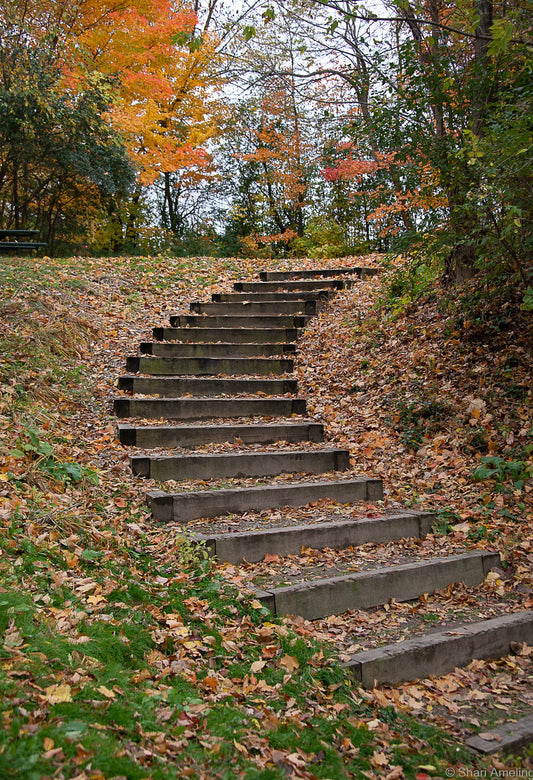 A Beautiful Stairway