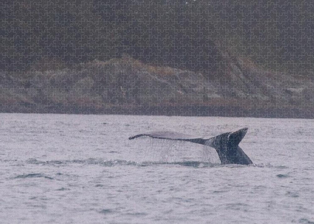 Whale Tail in Misty Waters - Puzzle