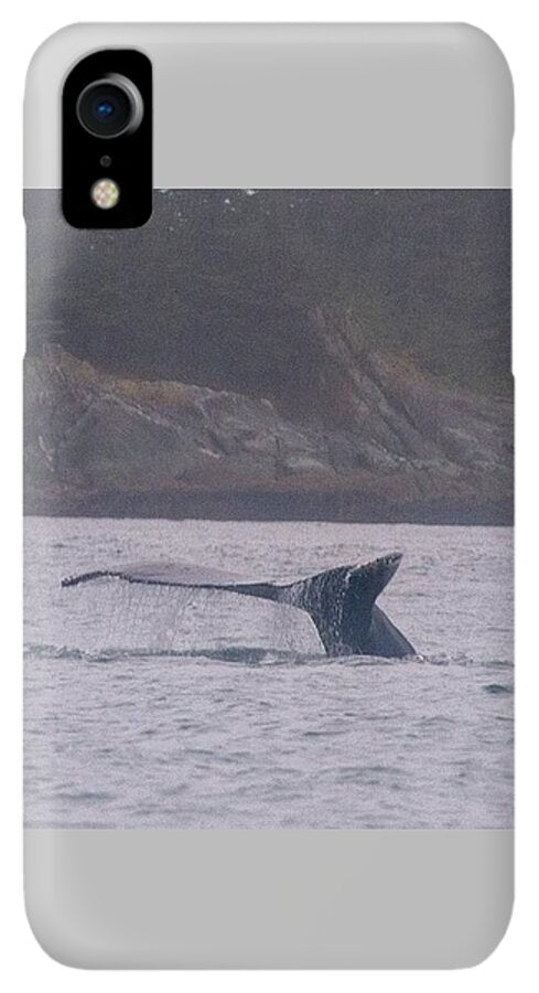 Whale Tail in Misty Waters - Phone Case