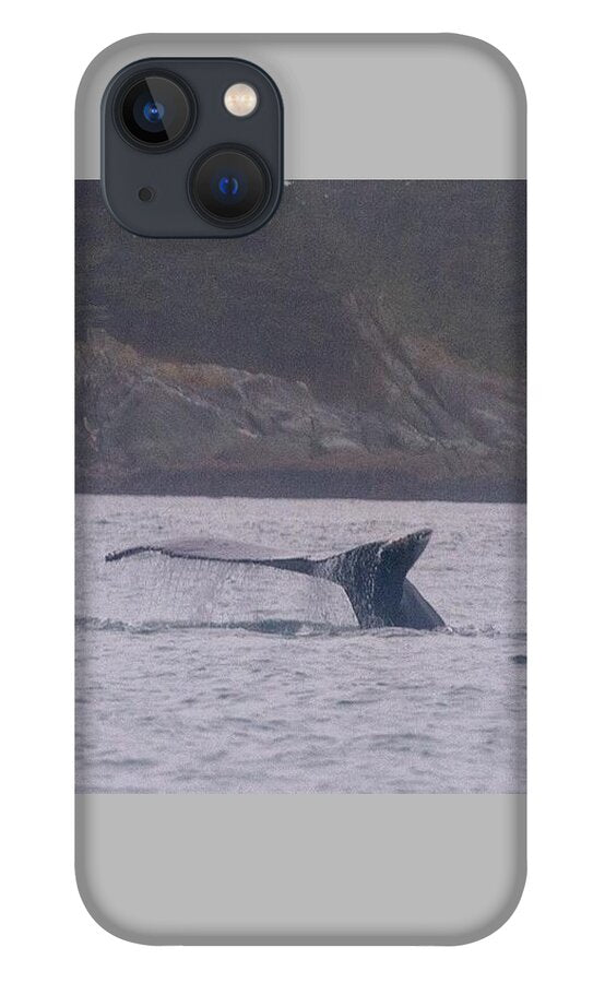 Whale Tail in Misty Waters - Phone Case