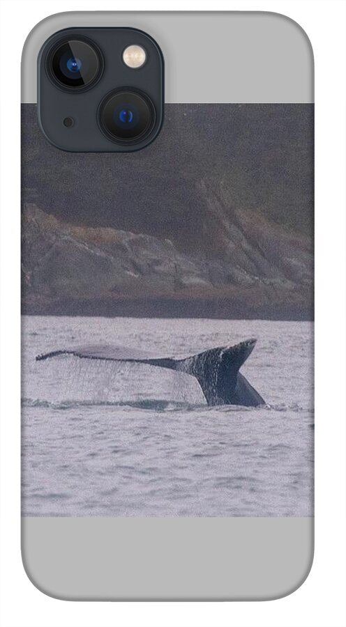 Whale Tail in Misty Waters - Phone Case