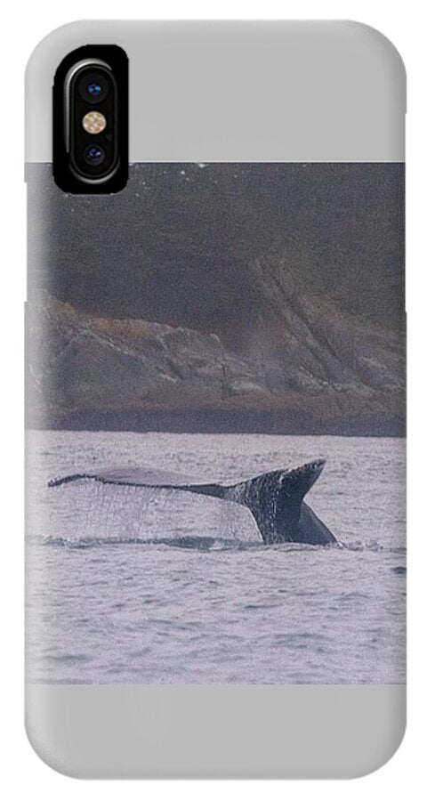 Whale Tail in Misty Waters - Phone Case