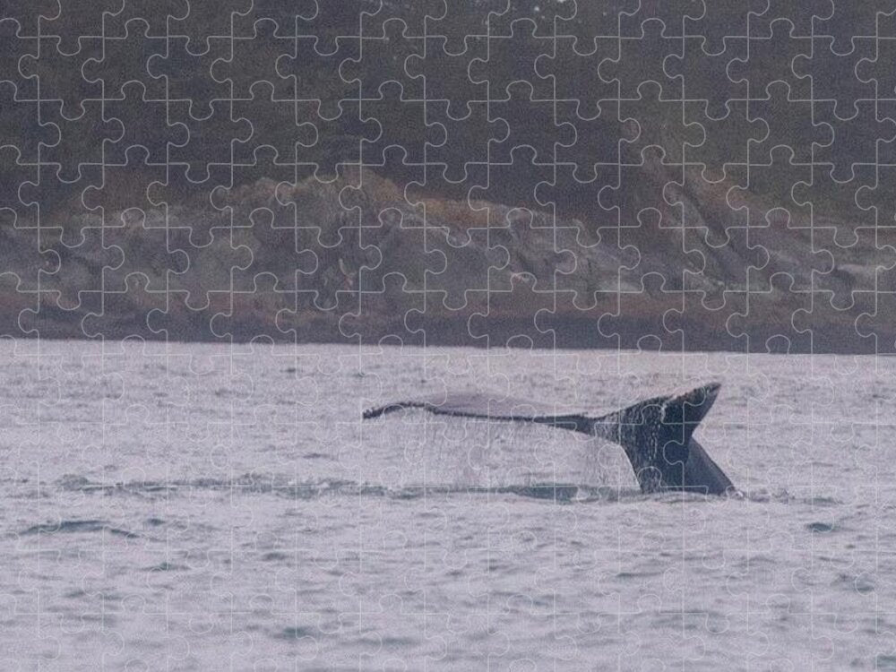 Whale Tail in Misty Waters - Puzzle