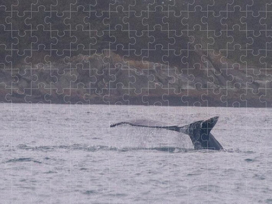 Whale Tail in Misty Waters - Puzzle