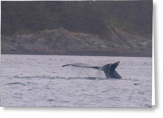 Whale Tail in Misty Waters - Greeting Card